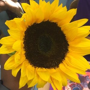 Meet your Posher, Kya